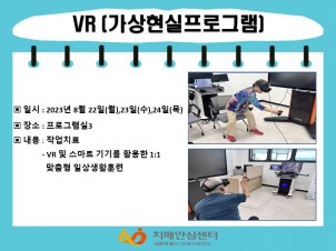 [] 8 4 VR(α׷)